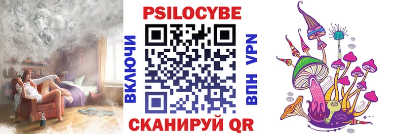 Псилоцибиновые грибы Cubensis  Шарыпово 