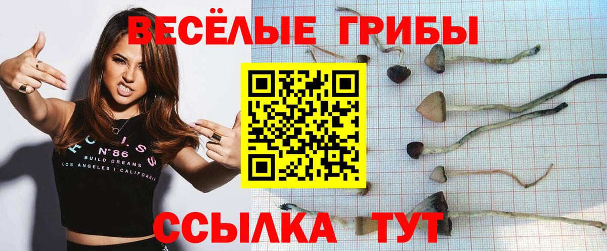 Шарыпово  Галлюциногенные грибы MAGIC MUSHROOMS  Псилоцибиновые грибы мицелий  Вход с VPN 