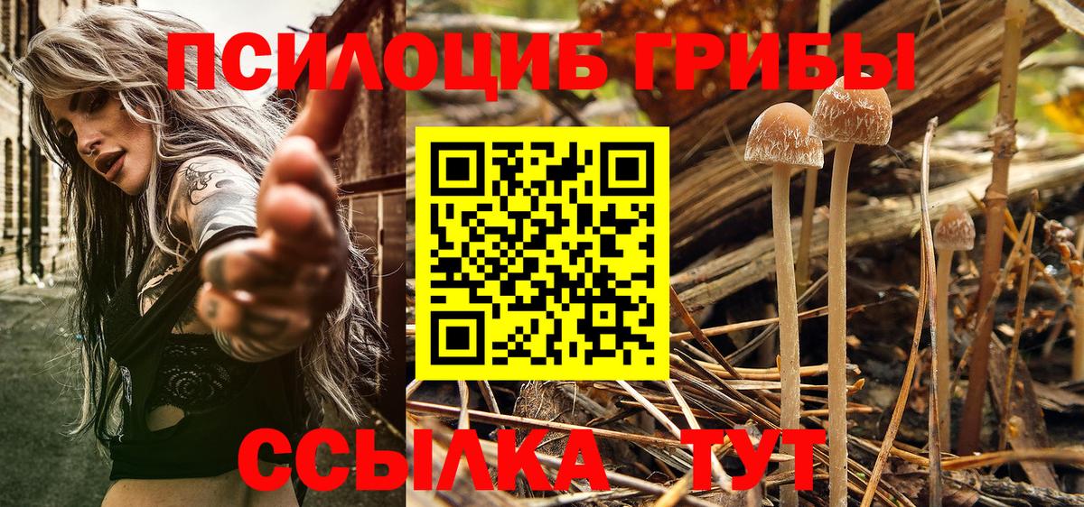 Галлюциногенные грибы Magic Shrooms Шарыпово